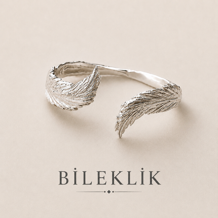 Collection image for: 𝖡İ𝖫𝖤𝖪𝖫İ𝖪