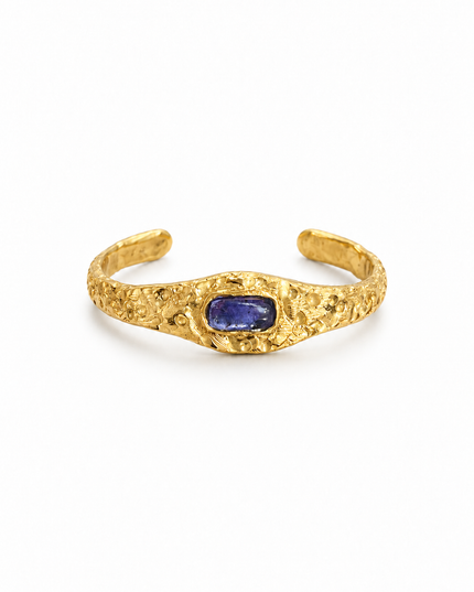 Tanzanite Relic Bileklik